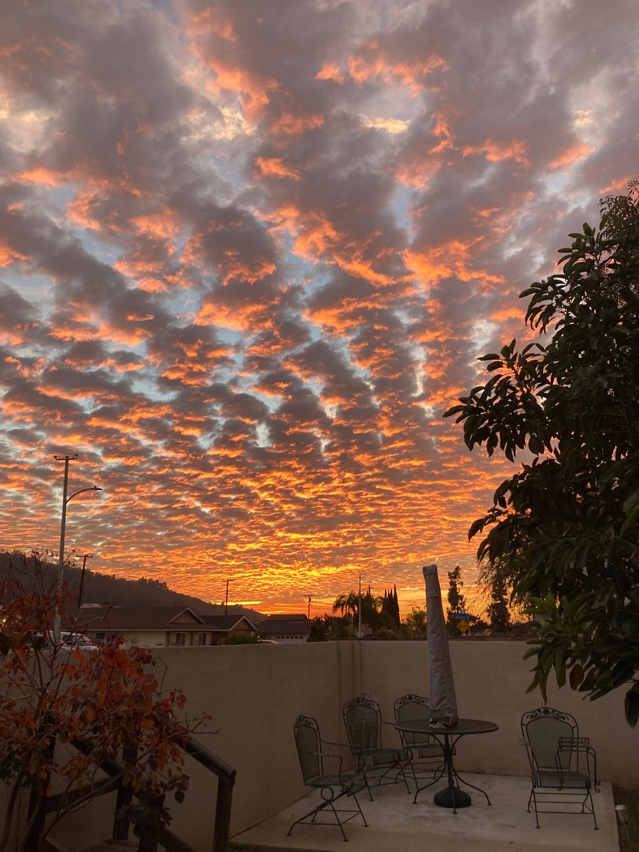 DIANEANDDAVIDG's tweet photo. #laskies https://t.co/yrLqhBhTKb