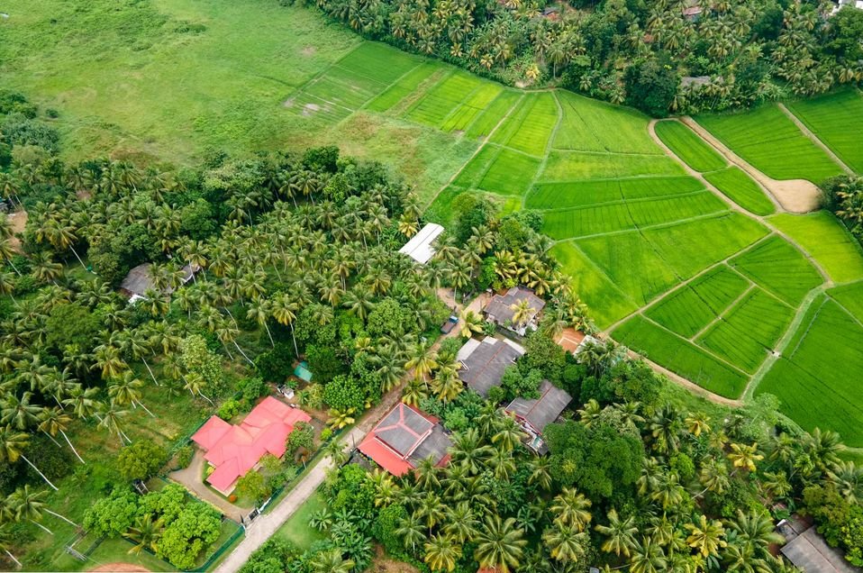 BuduMalli's tweet photo. කවදා හරි මේ වගේ තැනක නිවී හැනහිල්ලේ ඉන්න තමයි කල්පනාව.....ලක්ස 200 දීලා අදම ගන්නේ නැත්තෙන් ඇයි කියලත් හිතෙනවා..... https://t.co/VTdWTs9oa6