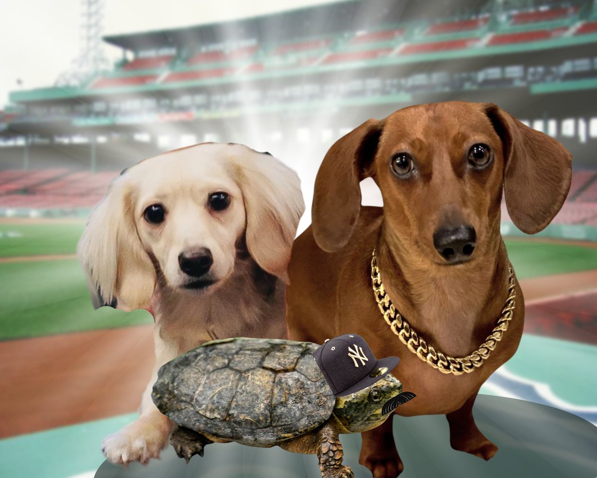 Brandon Holley tweet media