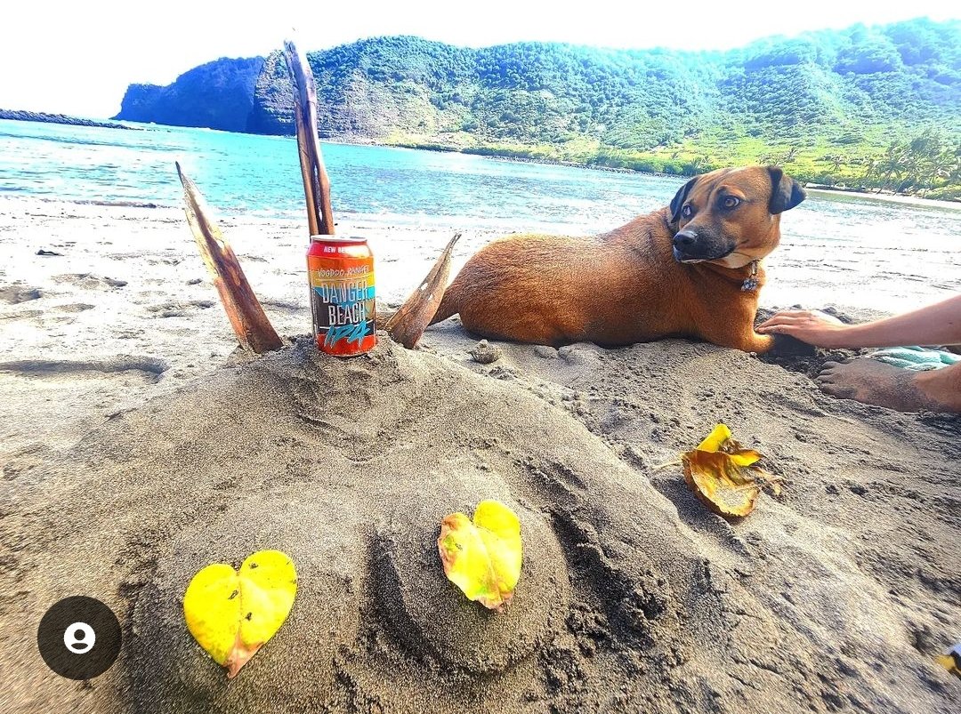 ADD KAINOA! gifts galore
4904 6907 4591
#pokemongo #pokemon #friendcode #gift #Hawaii 
Pic for tax 😊 😘 
We went to da beach today feat. Cher 
<a href="/voodooranger/">Voodoo Ranger</a> #iPa