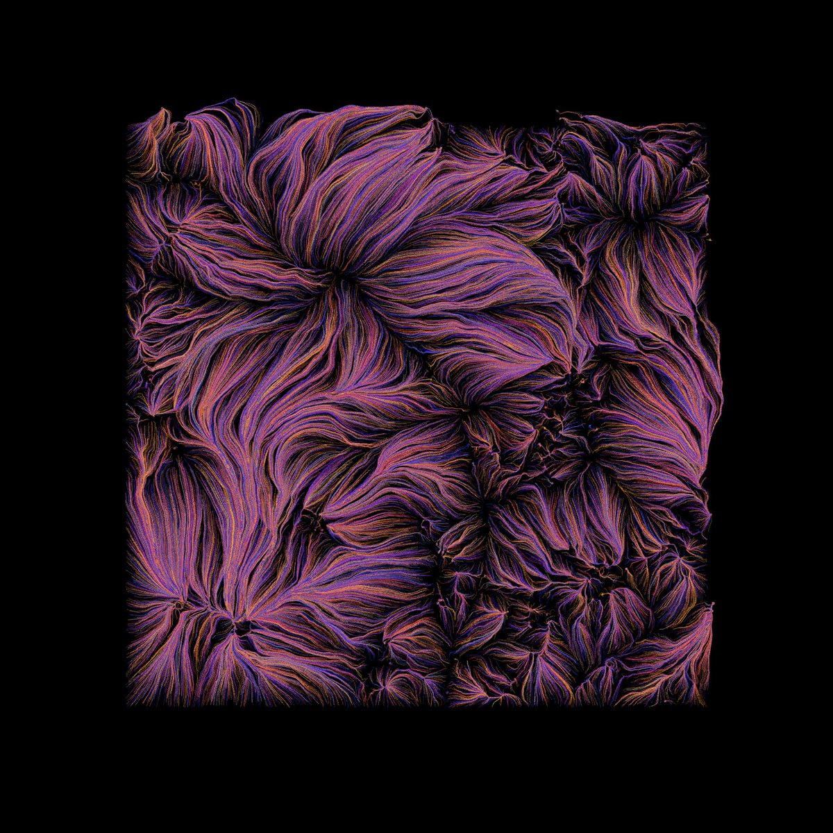 nickgerend's tweet photo. new code ~ converging threads #genart #genartclub #generativeart #creativecoding https://t.co/HwdIyFkMuw
