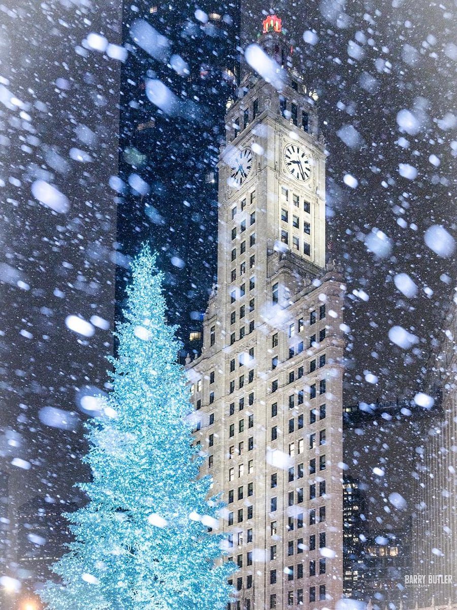 You no longer have to dream. It's here. Chicago will have a White Christmas. Thursday evening on the Mag Mile. #weather #news #ilwx #chicago #winterstorm