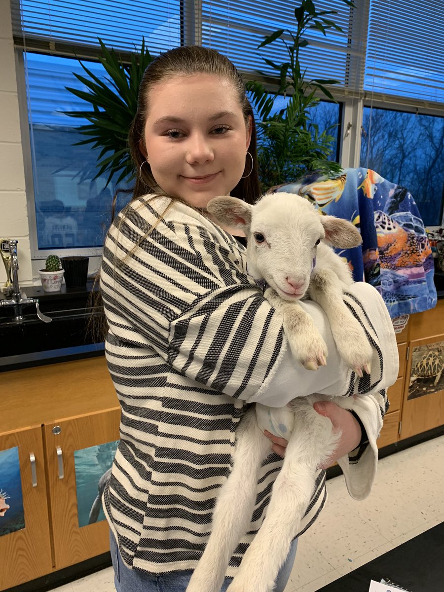 Mrs Geist tweet media