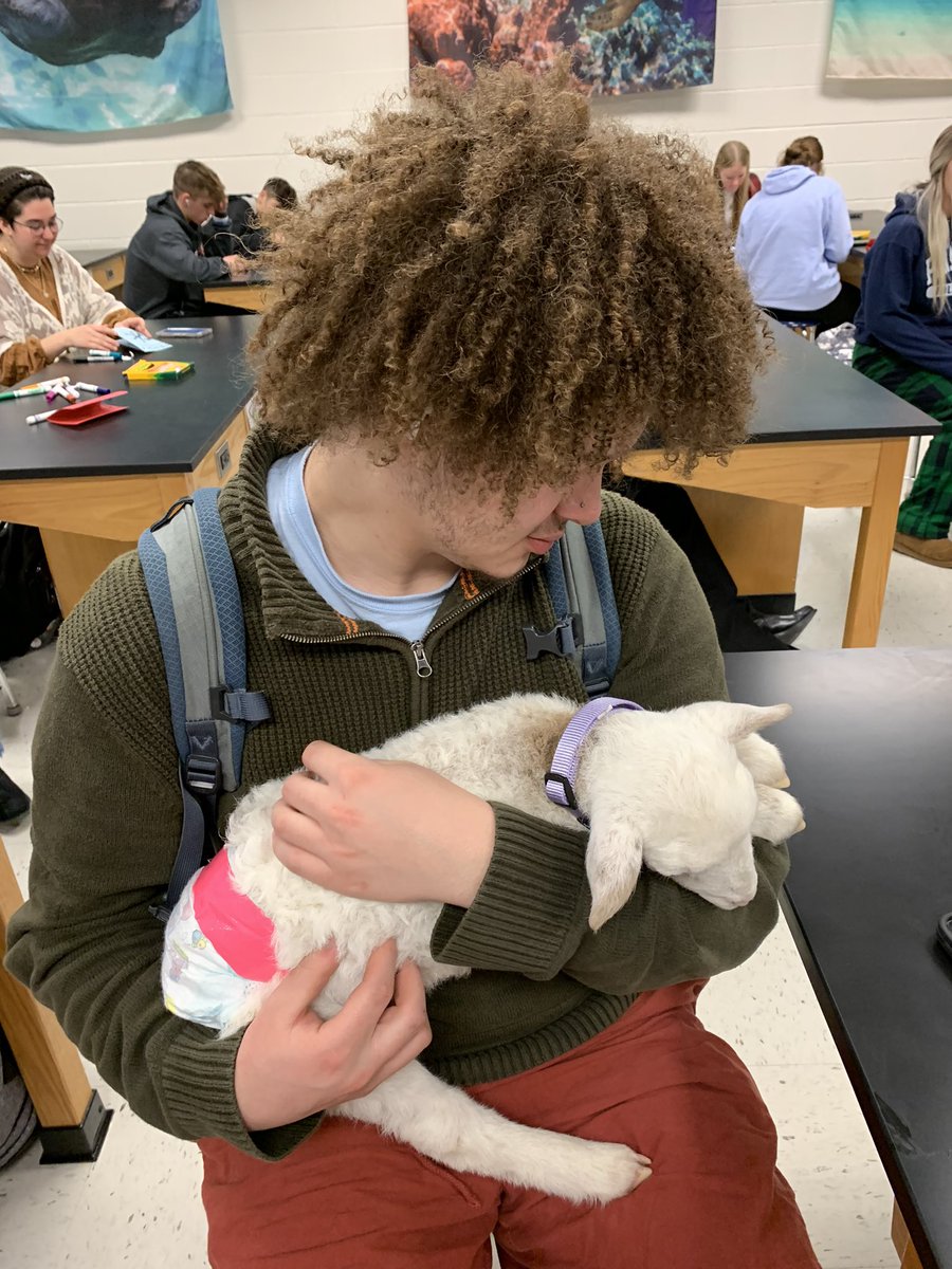 Mrs Geist tweet media