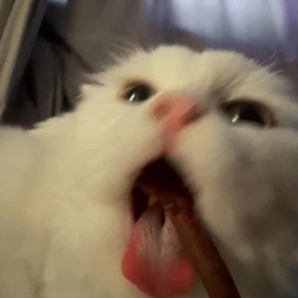 ͏͏
͏͏
͏͏
Mornings with her. You make my days a little bit brighter and a little less lonely, pretty girl.
͏͏
͏͏
͏͏