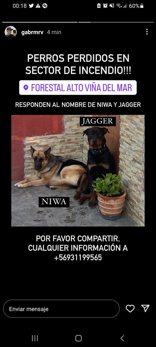 MaiiChavalos's tweet photo. Se Buscan! y se ruega difusión, la familia está desesperada buscandolos, desaparecieron durante la evacuación. #VinadelMar https://t.co/YLirppZjfH