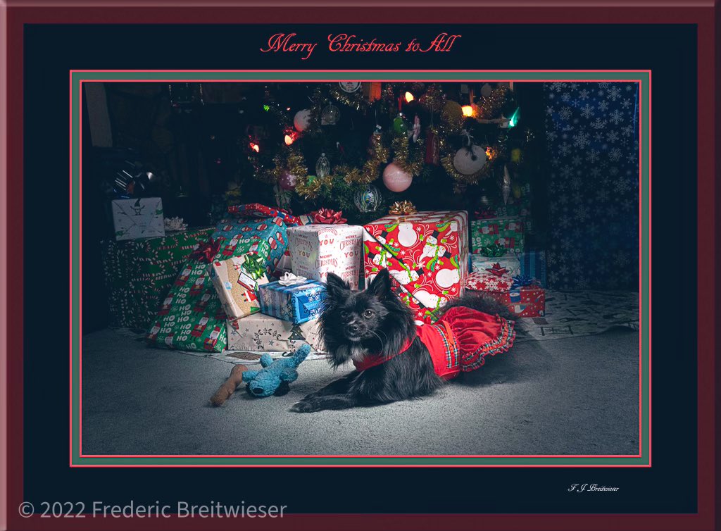 Merry Christmas pals!  Mommy iz runnin behind so yoo May get cards in January!  Pffft!  So hard to find gud hepp dese days.  Hope yoo haf a sooper pawsome howliday.  Love and hugs to yoo all!