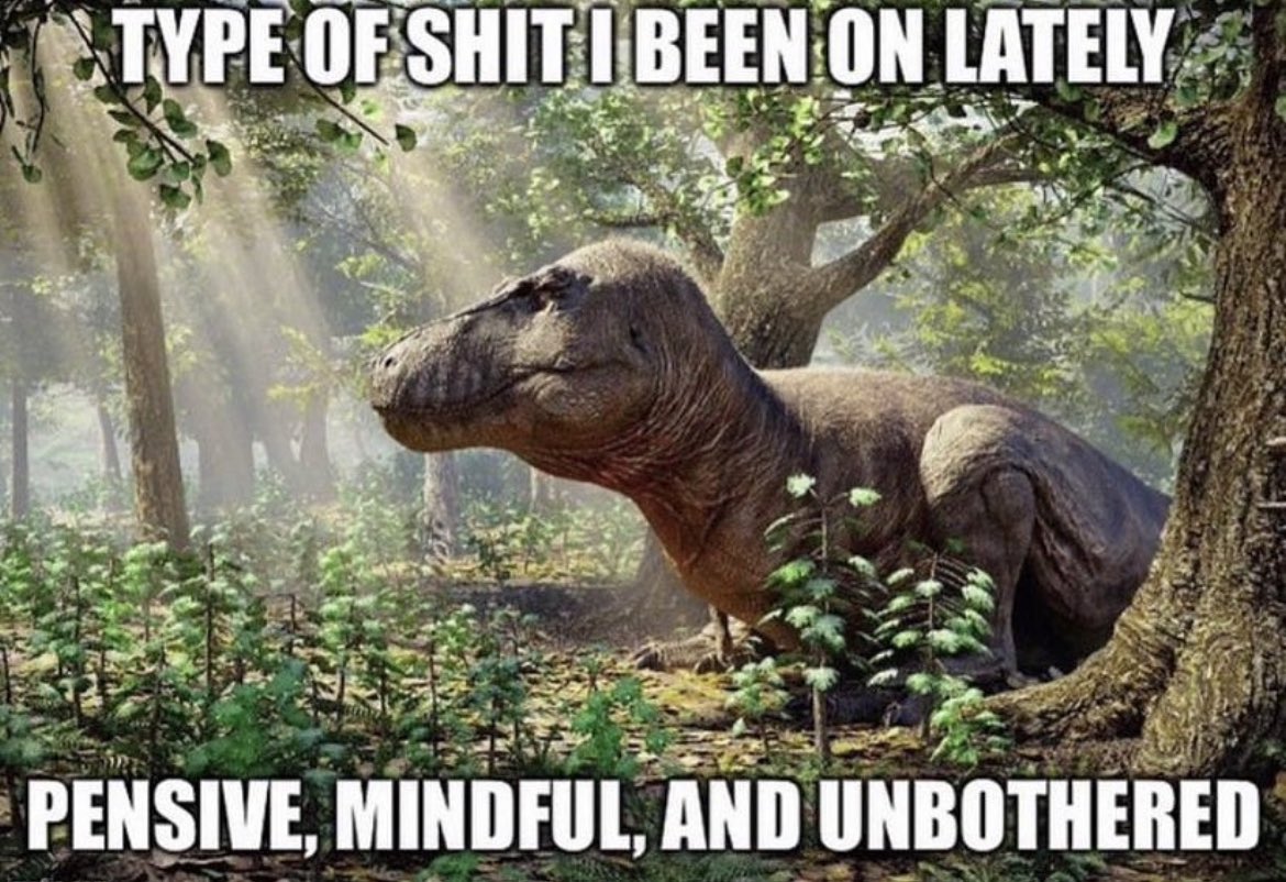 JollyWenus tweet media