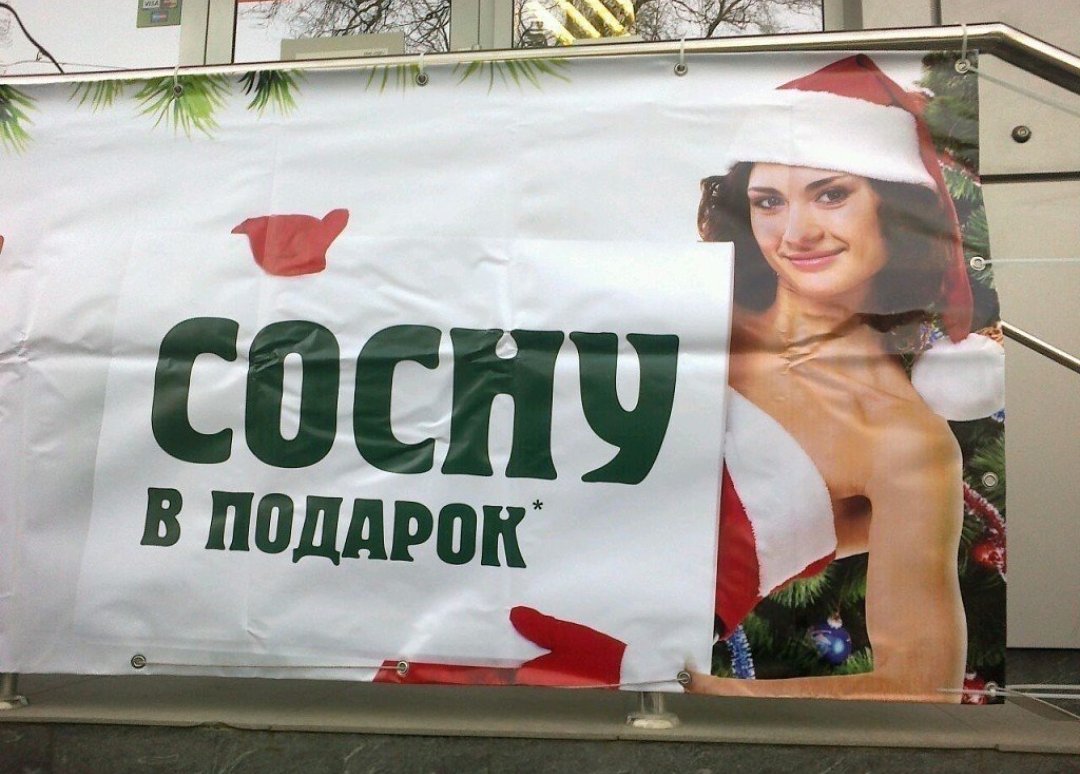 Сосну в подарок реклама