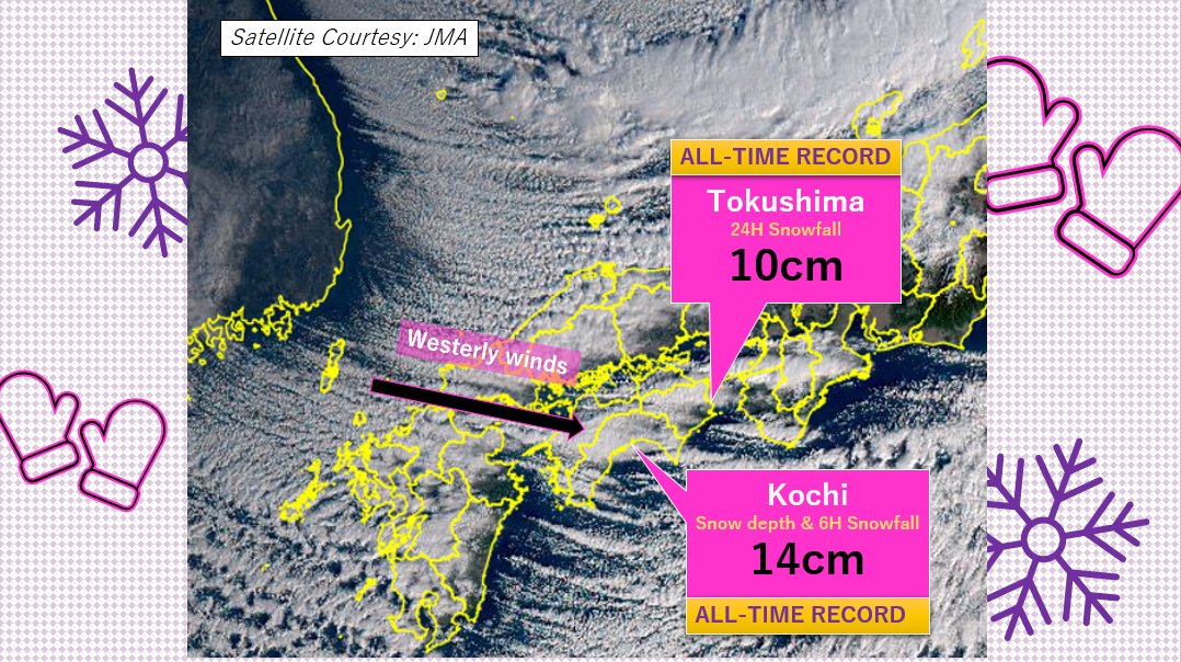 sayakasofiamori's tweet photo. "Christmas cold wave" is also impacting the Pacific side of Shikoku Island. It's known for warm weather in winter, but it had significant snow on Friday. 14cm in Kochi is the heaviest on record. 

Northern Japan, meanwhile, is expecting 100cm (3.3feet) into the next 24hr. https://t.co/wYWm2fml6s