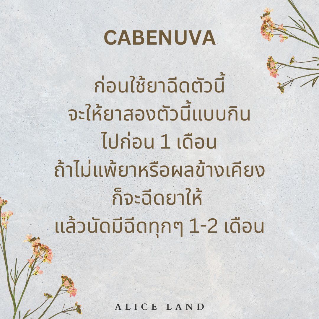 Alice_Land tweet media