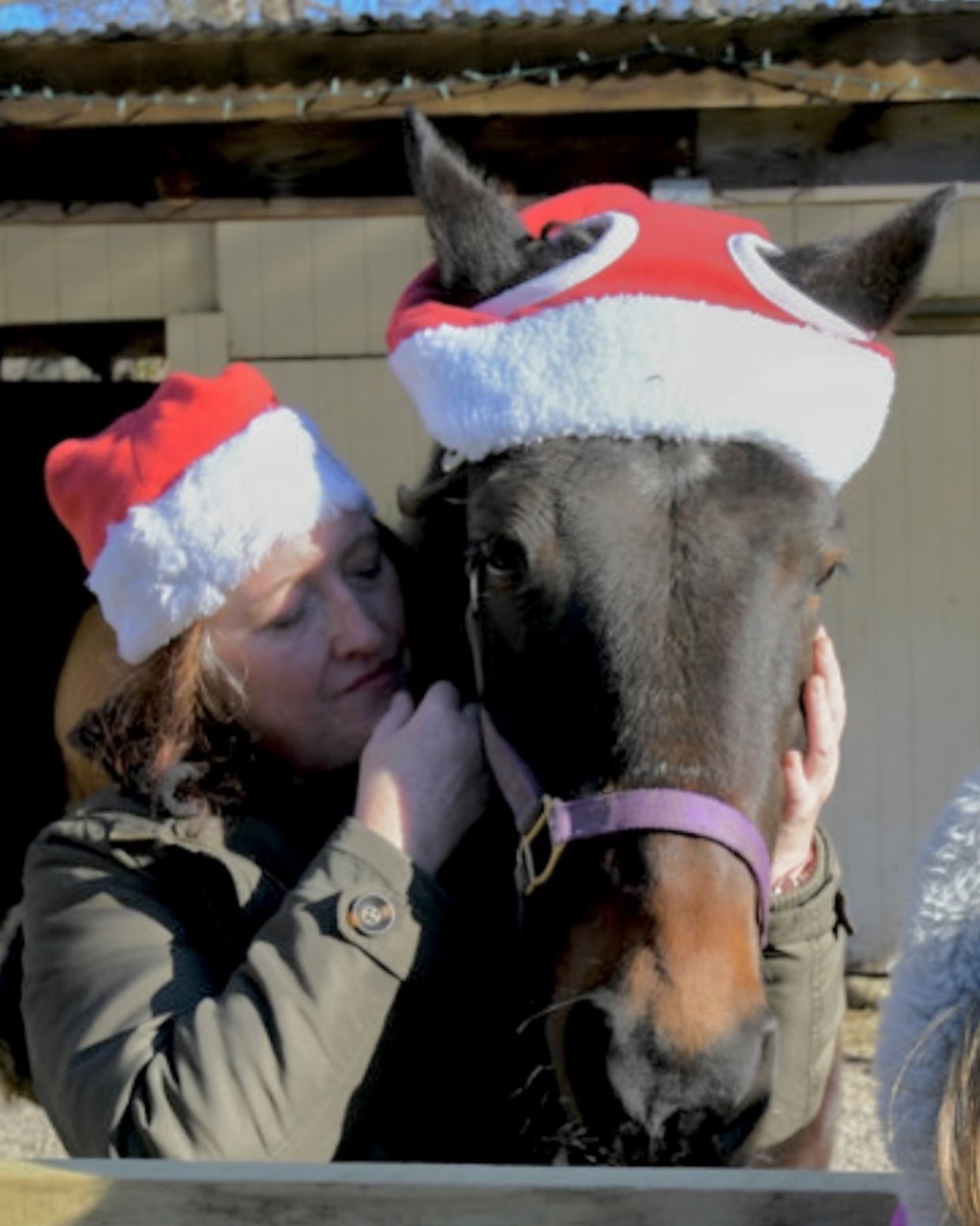 Graceland Meadows Animal Rescue & Sanctuary, Inc. (GracelandMeadow