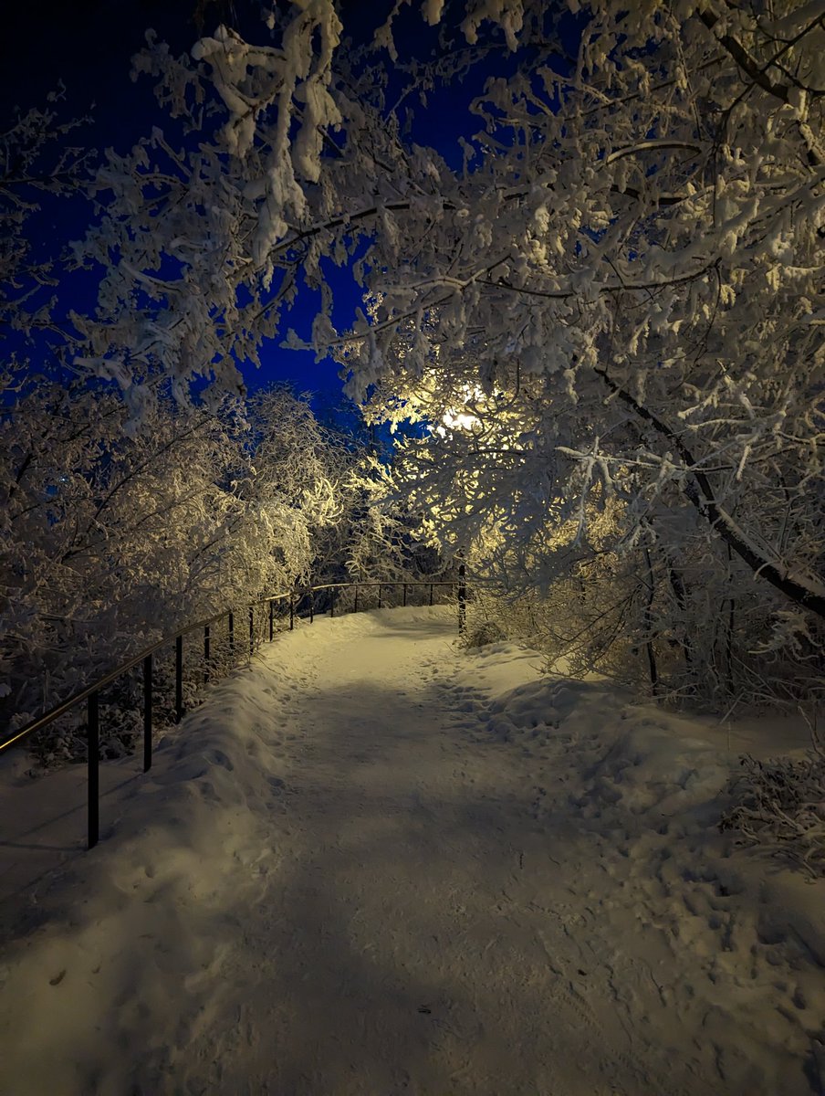 sunaina_6's tweet photo. Beautiful Saskatoon in extreme cold. https://t.co/xHnM4BmUgm