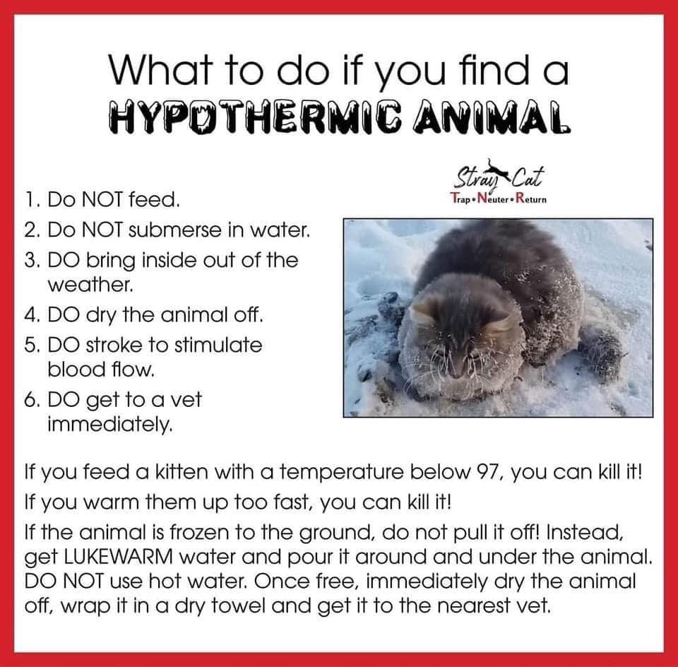 Public Service Announcement
So sad this needs to be posted but, given the extreme weather, bitter cold, terrible conditions across the country combined with human irresponsibility and cruelty, it DOES. 
Please share. Thank you.