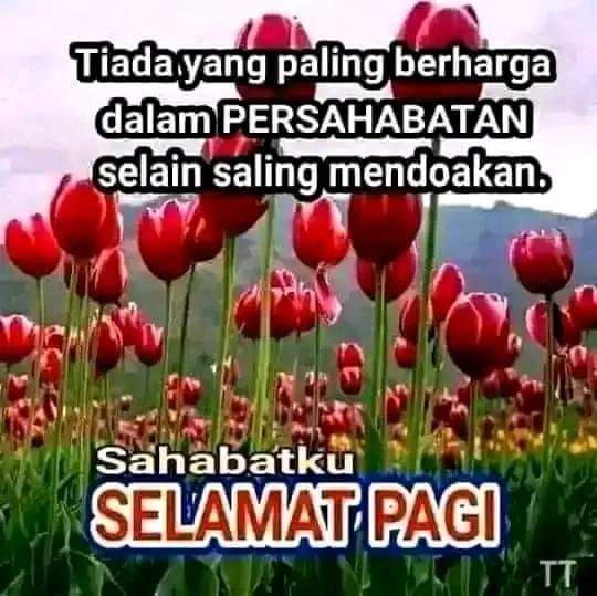 Ningning tweet media