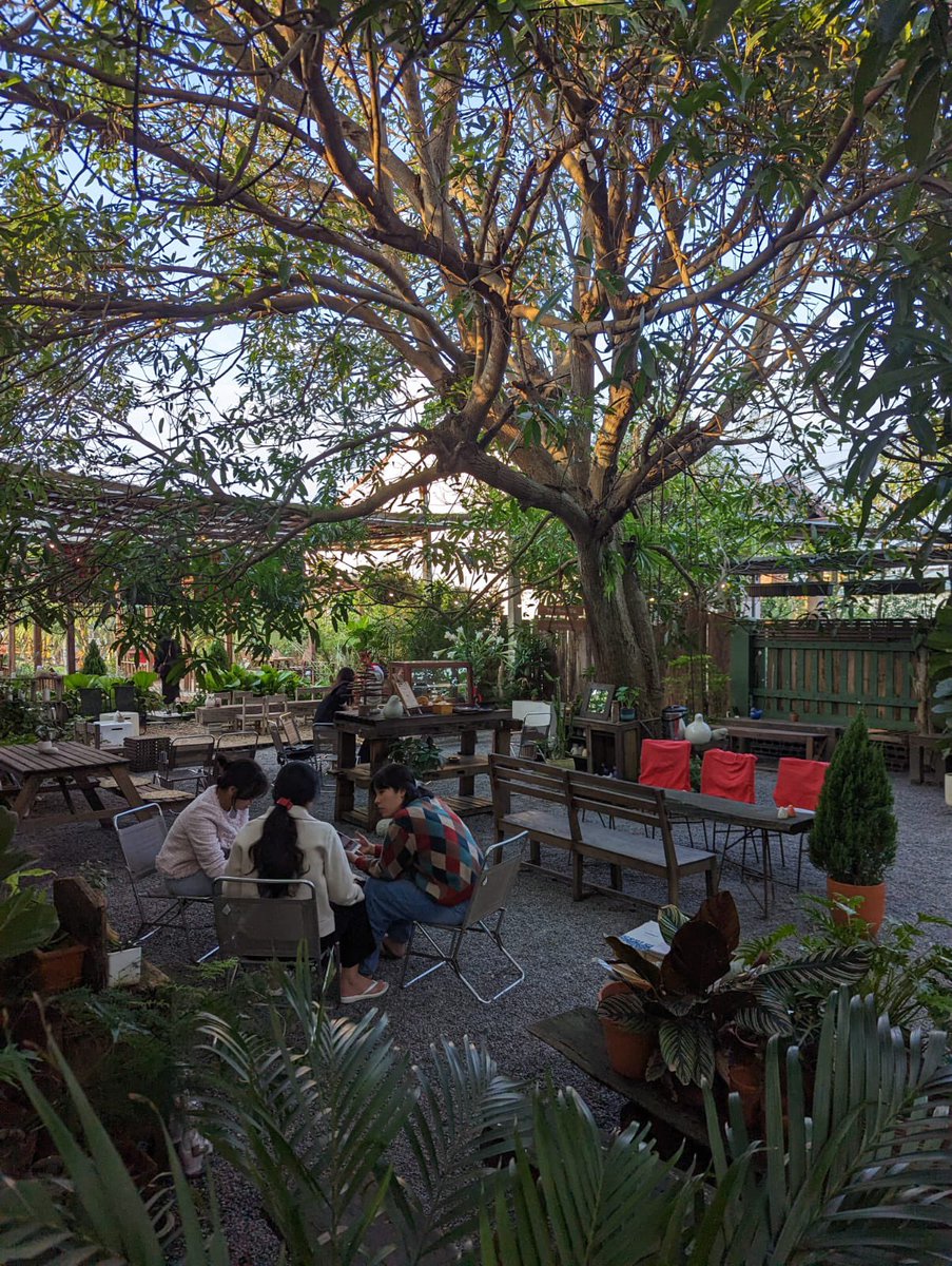 Antoine 🇨🇦 tweet media