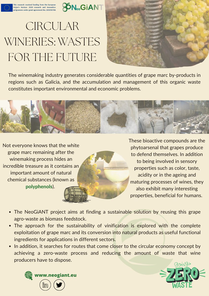 NeoGiANT_H2020's tweet image. 📃Our second practical abstract is out!!! We will keep on sharing more practical abstracts about the #NeoGiANTproject and its main topics.

⚠️Stay tuned! You can download them here: neogiant.eu/practical-abst…

#GrapeExtract #AMR #antioxidant #circulareconomy #wineries