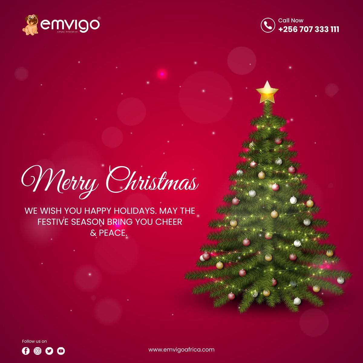 Emvigo Technologies & BPO Services tweet media
