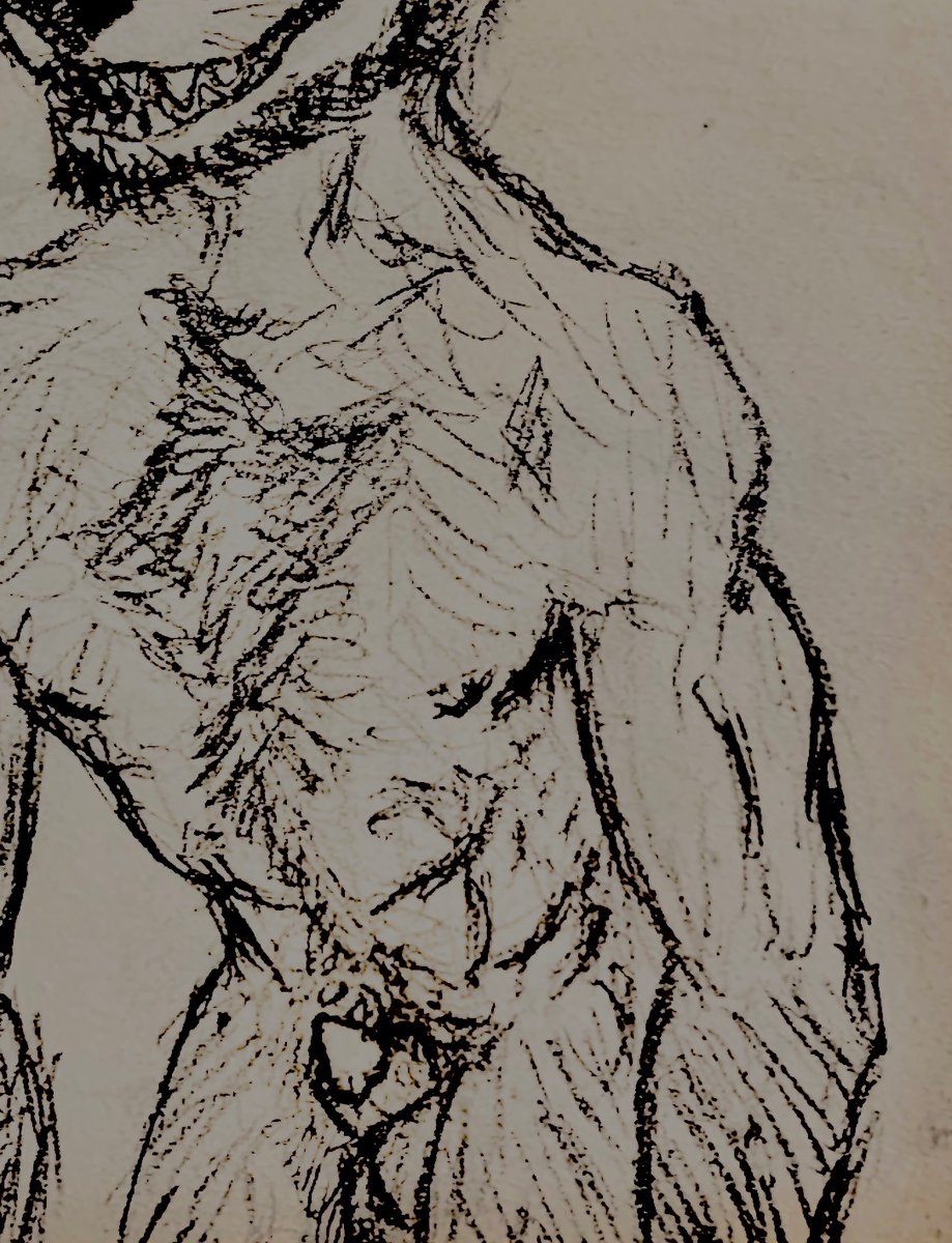 Bratty werewolf in pencil