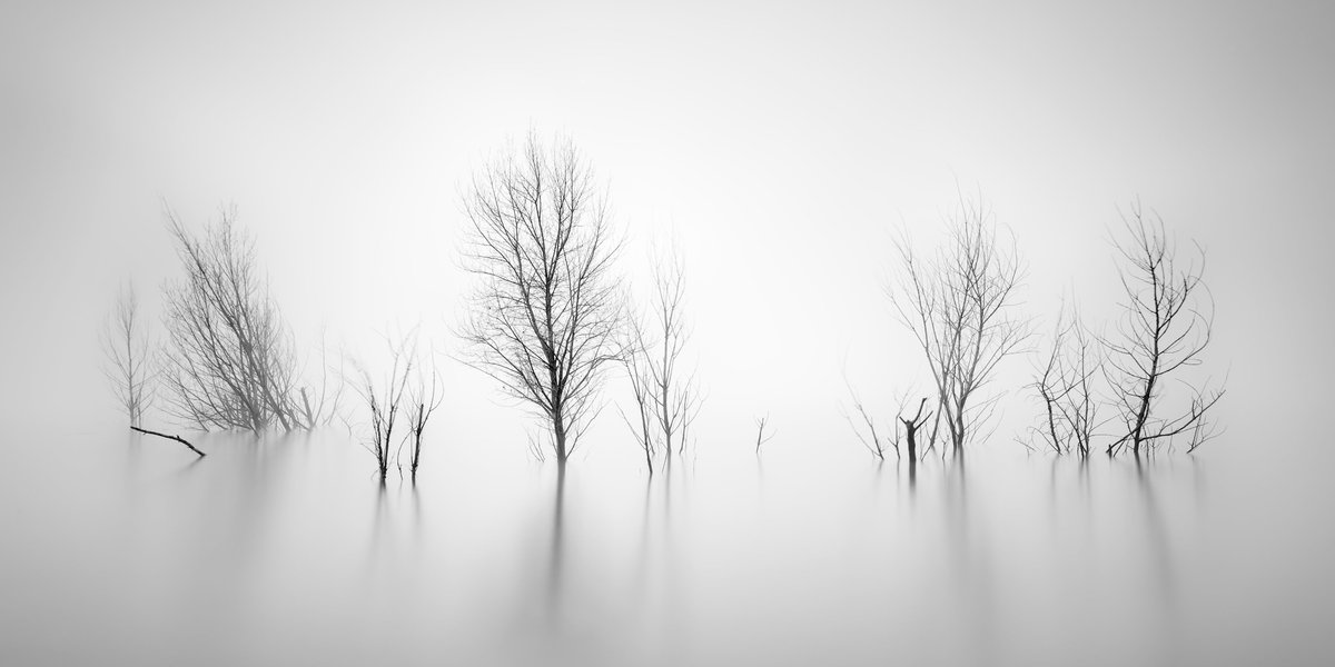 XOSΞ | longexposure.eth | tweet media
