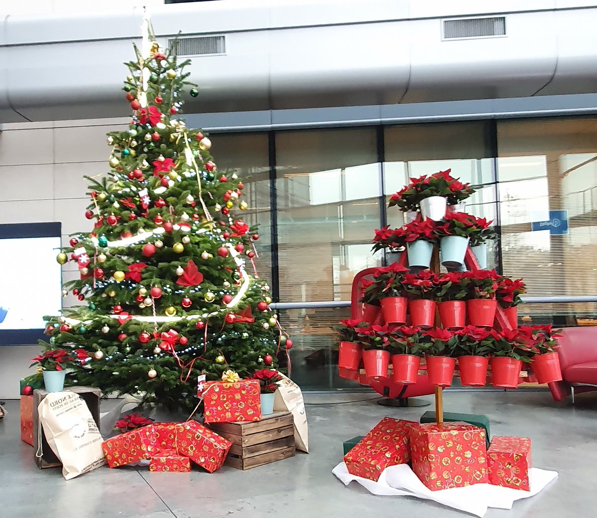Gestivert_web's tweet photo. Quelques sapins décorés par nos soins.🎄

 #gestivert #noel #sapindenoel #sapin #sapindecore https://t.co/ZMInqHtJob