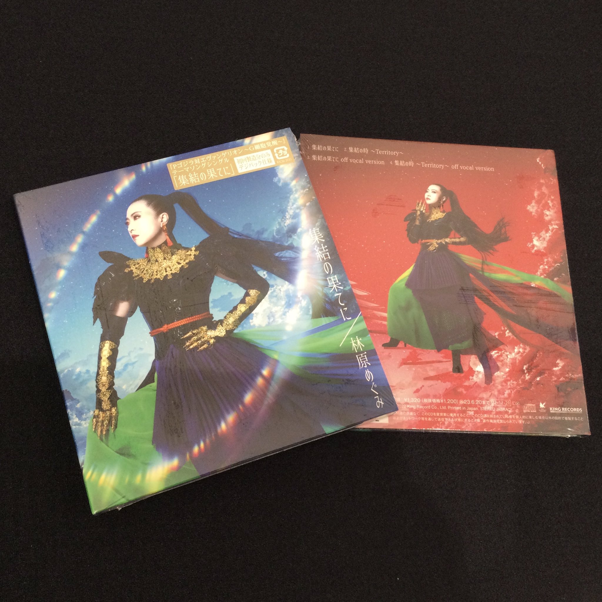 THE RECORD OF G-1.0 初回限定版（THE RECORD OF G-1.0: 書籍