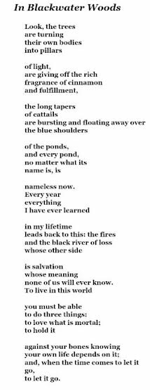 Finding #solace in one of my favorite #poems.