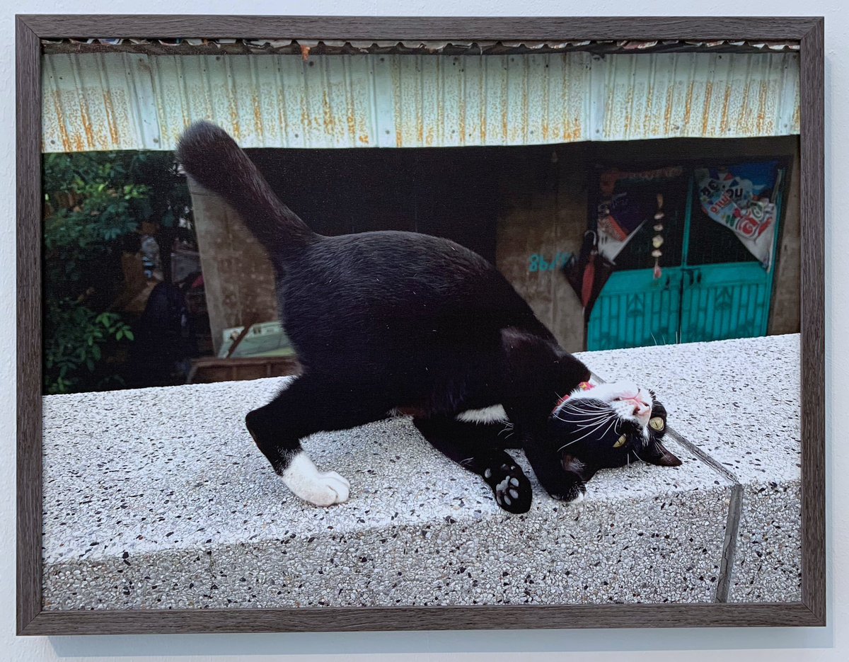 ภาพถ่ายฝีพระหัตถ์ “สืบมรรคาทัศนาทั่วไทย” (Roaming in Thailand) ในสมเด็จพระกนิษฐาธิราชเจ้า กรมสมเด็จพระเทพรัตนราชสุดาฯ สยามบรมราชกุมารี