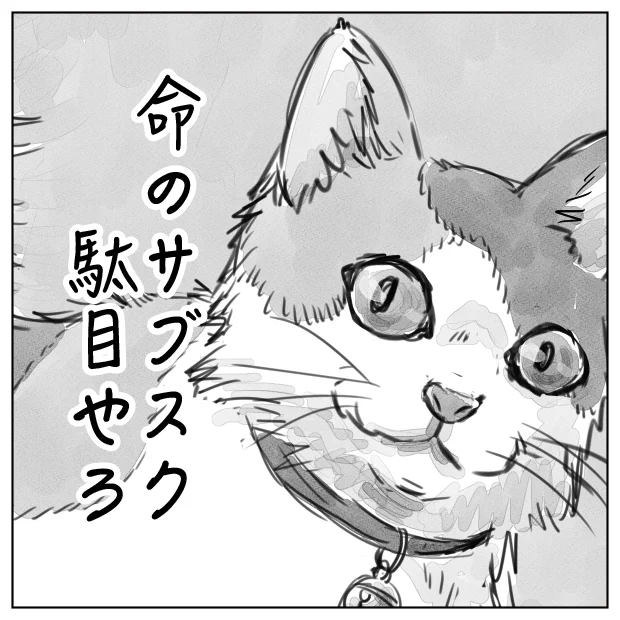 命を預かったら最期まで面倒を見るのが命と命の約束だよ 