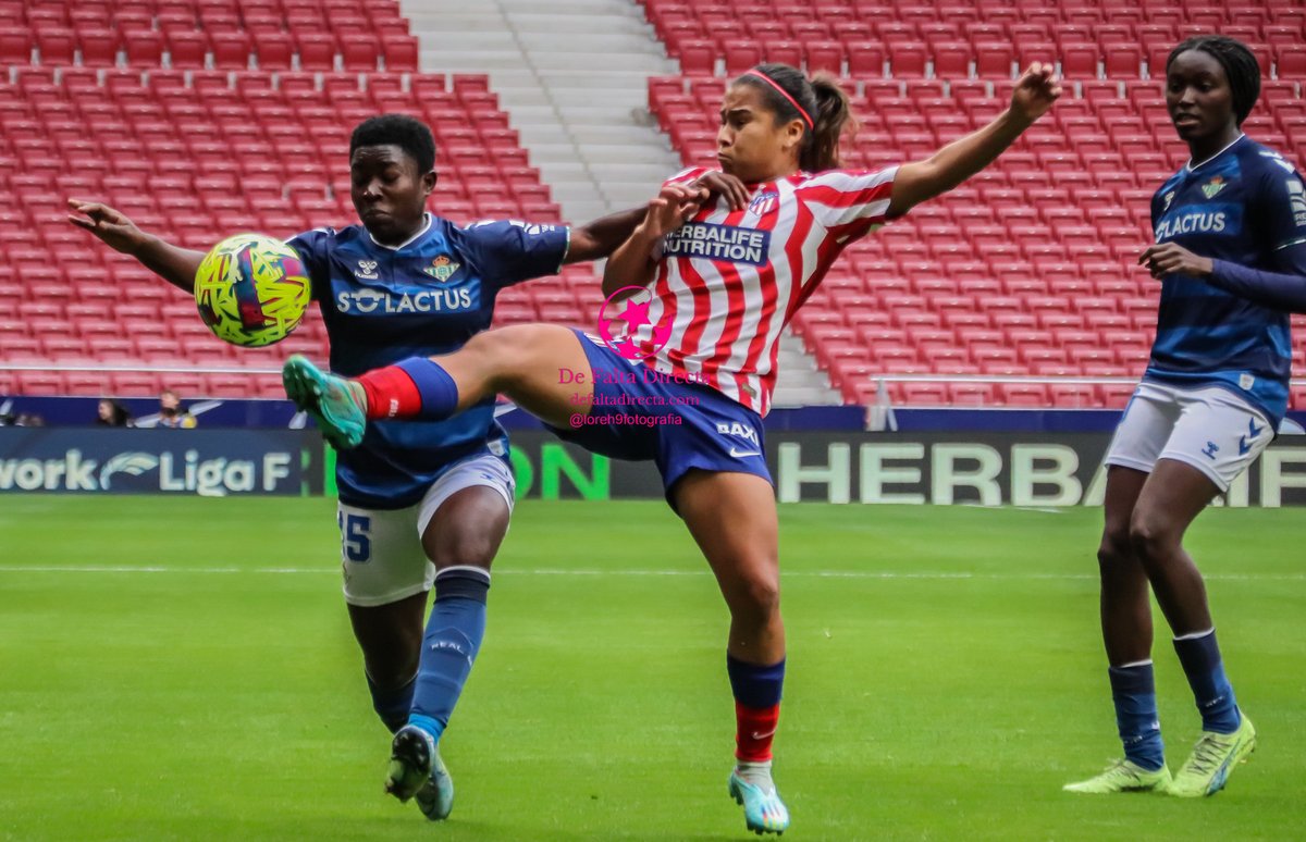 Loreh9Fotografía tweet media