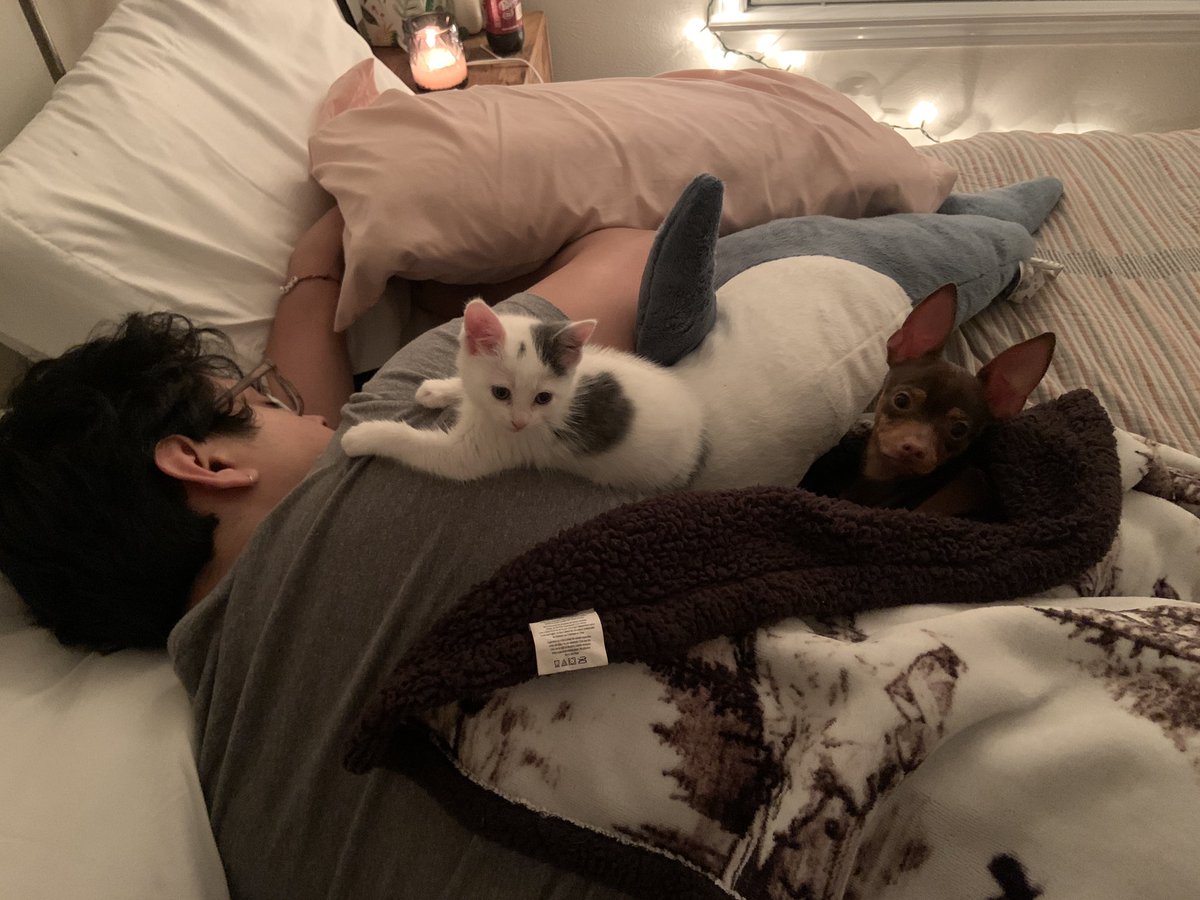 lizardsview's tweet image. :(