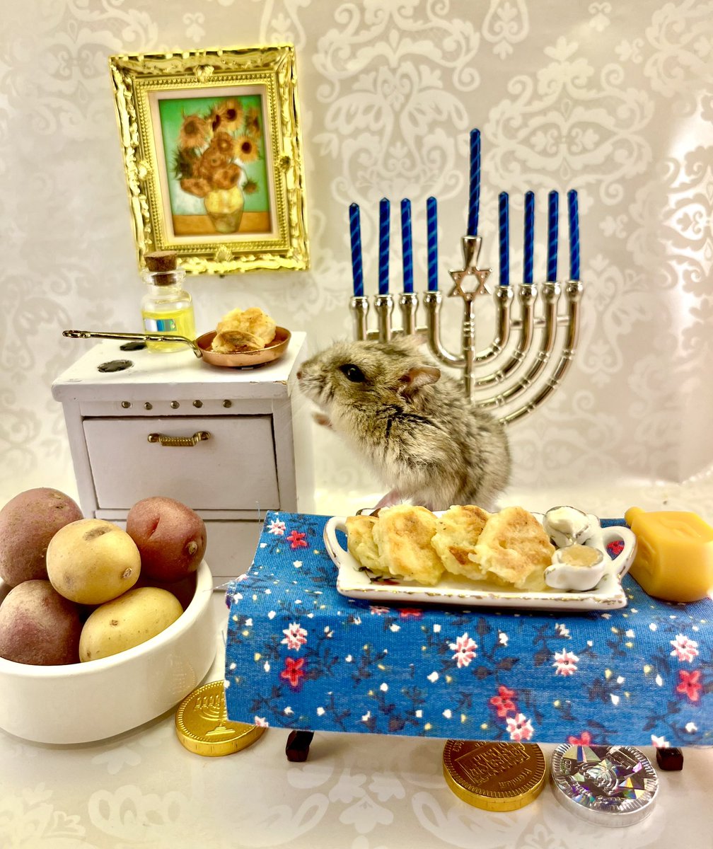 MashaDC's tweet photo. Happy Hanukkah and lots of light from hamster Puff Puff! (I don’t actually feed her latkes) https://t.co/vA9PUWMlim