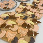 たべっ子どうぶつに新商品!？たべっ子ぞうもつ現る。