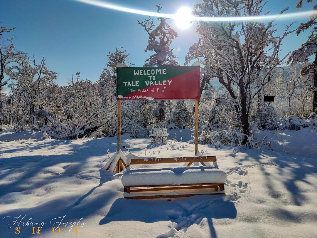 editorneindia's tweet photo. Catch the Glimpse of Beautiful Snow-covered Tale Valley in Arunachal Pradesh. A Winter wonderland indeed!

Photos by JosephHabung

#TaleValley #NortheastIndia #LowerSubansiri #Arunachal #ExploreNortheastIndia @ArunachalTsm https://t.co/JuyNijp6mW