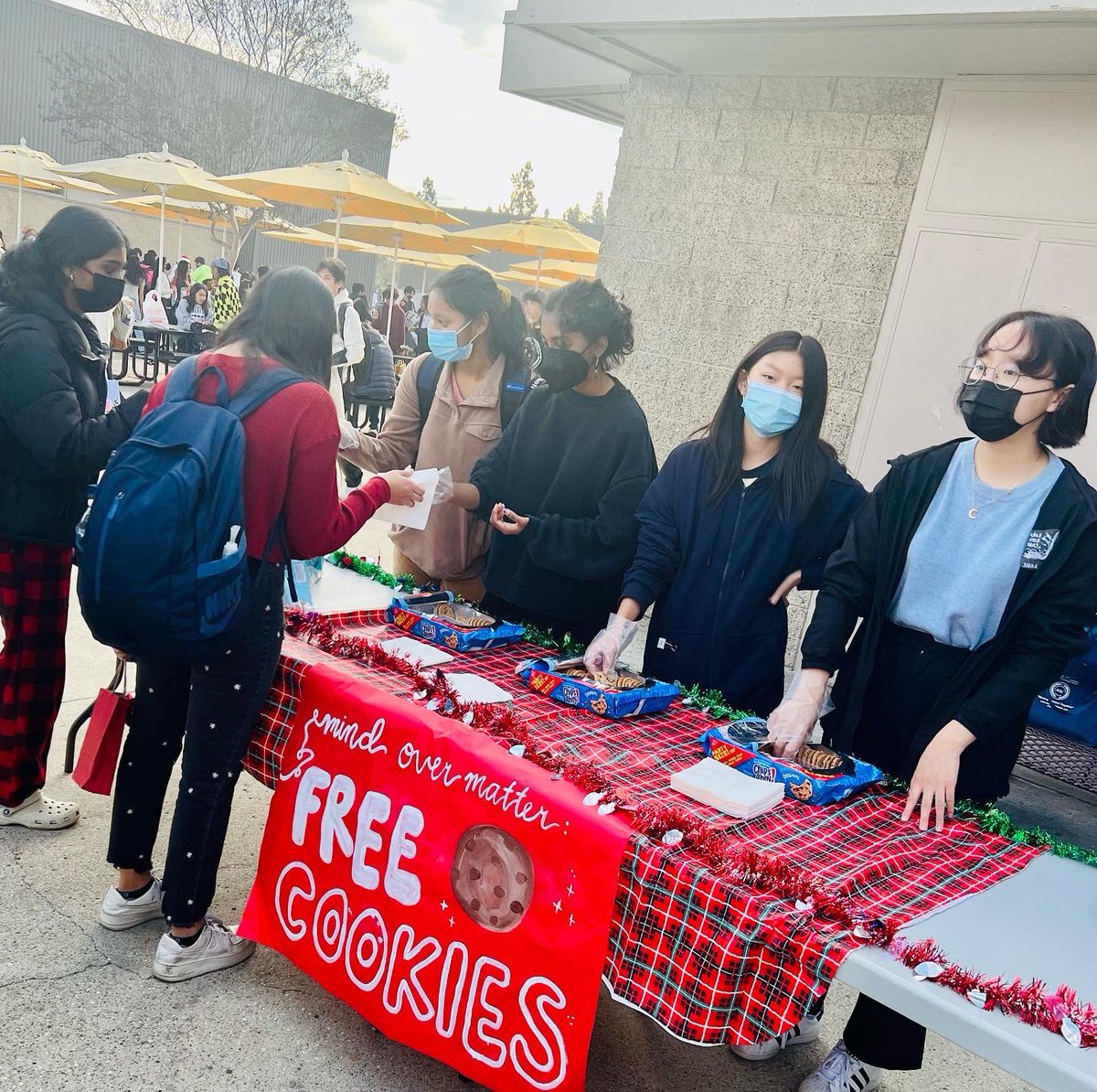 Whitney Wildcats tweet media