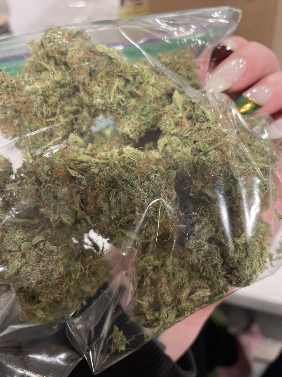 Feeling like <a href="/berner415/">Berner</a> smoking Bullrider with <a href="/theurbanremo/">REMO</a> 🌬️🔥🕎🎄