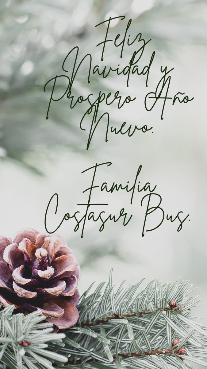COSTASURBUS's tweet photo. ¡Felices Fiestas! https://t.co/EfYOTchtse