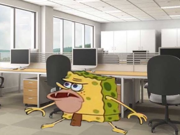 HRD BACOT (@hrdbacot) on Twitter photo 