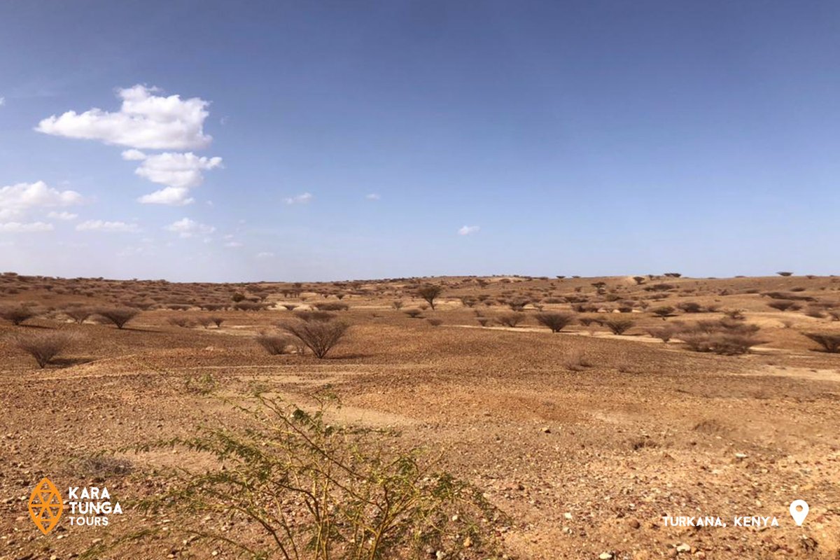 The #AtekerPeaceCaravan slept in Lokitaung (Northern Turkana County) last night and are driving into homeland Ethiopia today! 

ateker.org  @WarriorNomadtrl  @TurkanaLand #MagicalKenya #CradleOfMankind #TreasureKenya