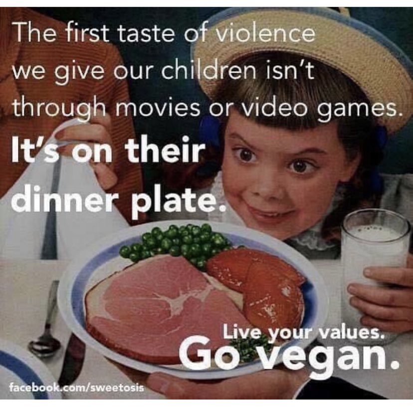 🌱🌱VeganSue 🌱🌱 (@seery_sue) on Twitter photo 