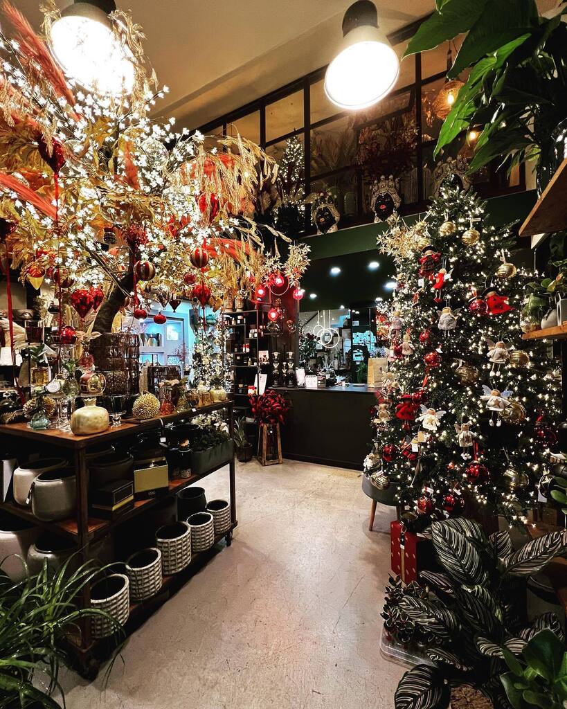 Scottiverdesign's tweet photo. Christmas2022 ….. vi aspettiamo con tante idee 🎁 
.
.
.
#christmas #christmas2022 #natale2022 #ideeregalonatale #addobbidinatale #interioredecor #luxurydecor #scottiverdesign https://t.co/Eu0J5tkRzx https://t.co/XYNLhyFc5r