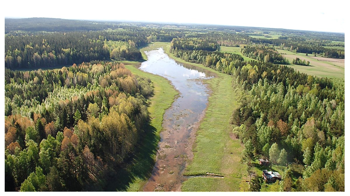 We are looking for a #postdoc to study individual #forest owner’s decision-making 🌲 
Field work will be based in 🇸🇪, therefore the advert is in Swedsih & fluency in a Scandinavian language is required.
Apply here: bit.ly/3WczhRL 
#EnvSocSci #ConSocSci #postdocposition