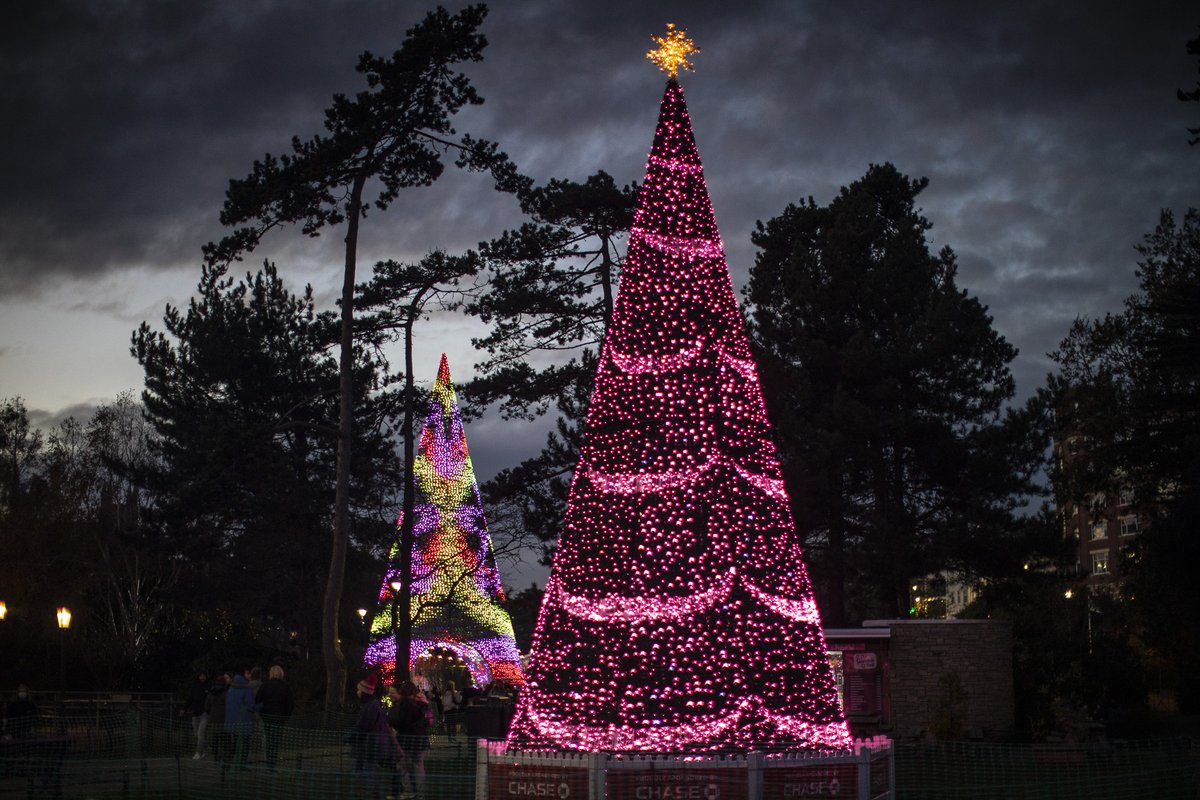 HealthSciUni's tweet image. Bournemouth this time of year really is a #ChristmasTreeWonderland! 🎄⛸️✨ To our wonderful staff &amp;amp; students staying local during this festive period, make sure you make the most of what our lovely town has to offer! 💜 #FestiveFunByTheSea #ChristmasinBournemouth #ChristmasEveEve