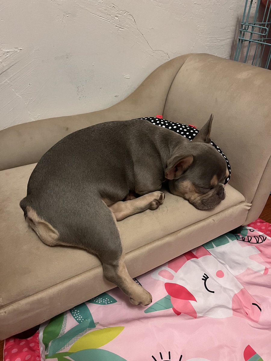 donskyxxx's tweet photo. My baby girl ❤️ https://t.co/LxRzoU1ehB