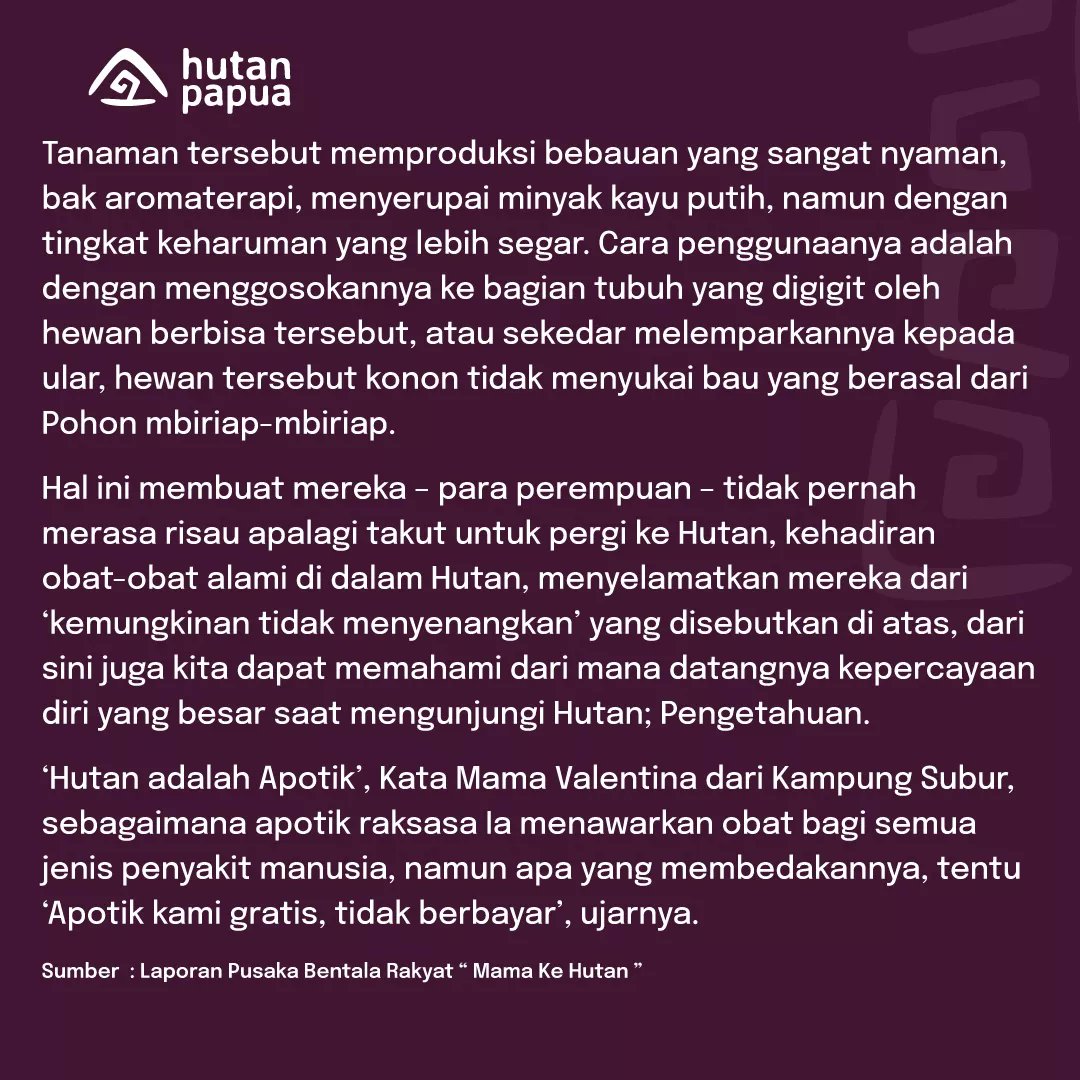 HutanPapua_id's tweet photo. Hutan adalah "Apotik Gratis" bagi sebagian besar masyarakat di pedalaman Boven Digoel.
Hutan menyediakan beragam jenis obat tradisional yang dibutuhkan dalam kehidupan sehari-hari mereka.
Tidak perlu membayar dan tidak perlu jauh-jauh ke kota. https://t.co/xLrd3rRna5