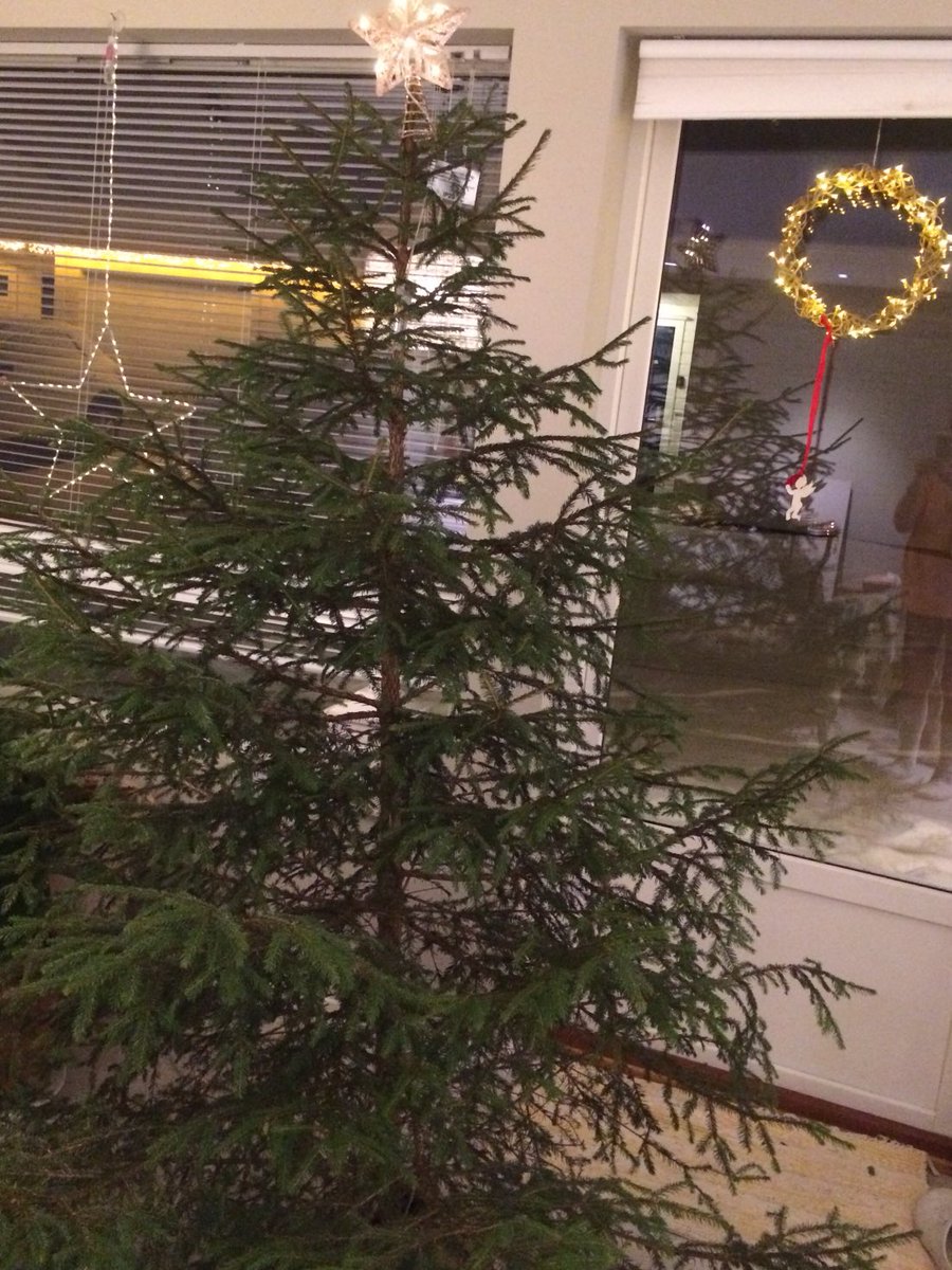 🌻🌻Liv$ERineHelge$en 🌻🌻 tweet media