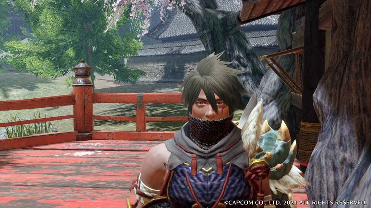 Jakelikesnaruto's tweet photo. yuh #MHRise #MonsterHunter #NintendoSwitch https://t.co/sJVZtB9wK0