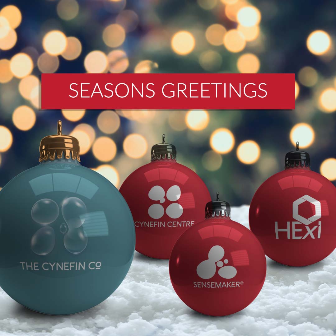 From all of us at The Cynefin Company, we wish you a very Merry Christmas and a happy and prosperous New Year! We are incredibly thankful to our hardworking staff, valued partners and clients who enable us to grow each year. 

We hope that you all have a fantastic holiday season!