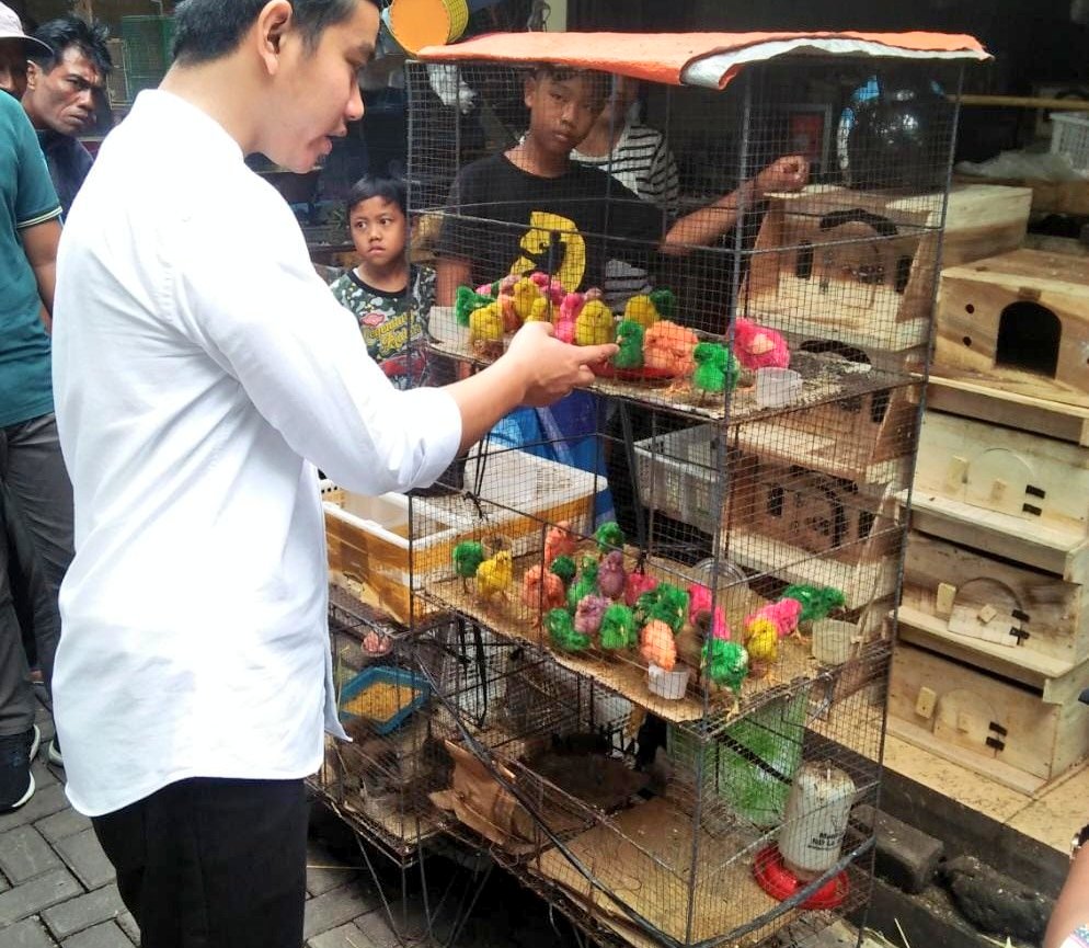 Gibran Rakabuming tweet media