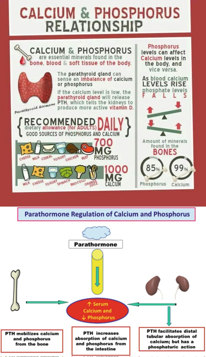 Sthanu on Twitter "Calcium has an inverse relationship to phosphorus. This means that as levels
